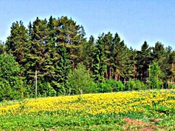 Фото номера Дом для отпуска Дома для отпуска Holiday Home Elsamökki г. Сювянниеми 14