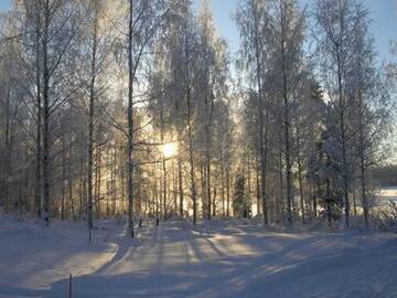 Фото номера Дом для отпуска Дома для отпуска Holiday Home Suvituuli г. Сювянниеми 18